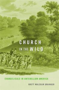 book cover of Church in the Wild