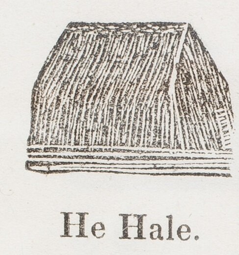 Illustration from 1837 showing a Hawaiian style house