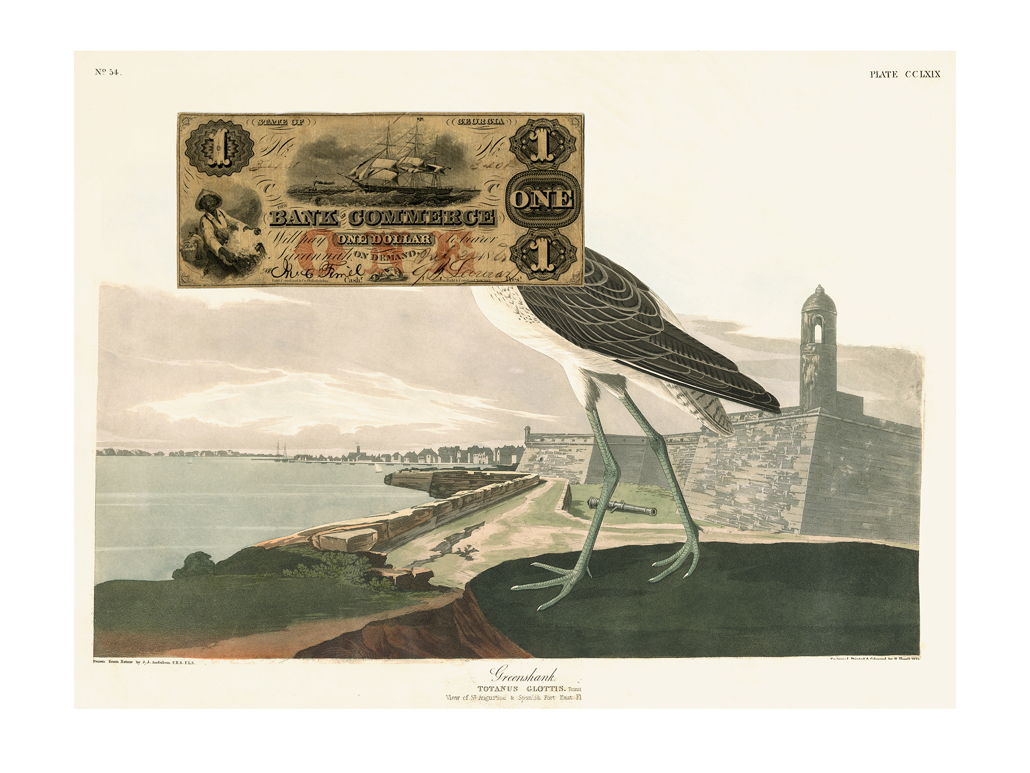 Collage depicting bird with bank note imposed over its head