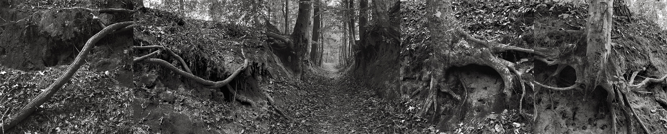 Photograph of sunken trace pathway